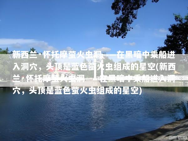 新西兰·怀托摩萤火虫洞——在黑暗中乘船进入洞穴，头顶是蓝色萤火虫组成的星空(新西兰·怀托摩萤火虫洞——在黑暗中乘船进入洞穴，头顶是蓝色萤火虫组成的星空)