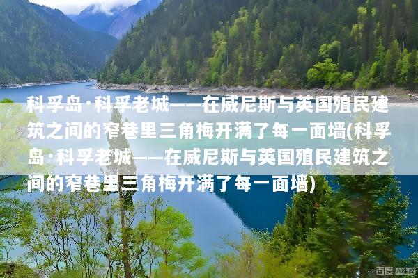 科孚岛·科孚老城——在威尼斯与英国殖民建筑之间的窄巷里三角梅开满了每一面墙(科孚岛·科孚老城——在威尼斯与英国殖民建筑之间的窄巷里三角梅开满了每一面墙)