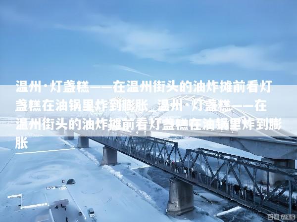 温州·灯盏糕——在温州街头的油炸摊前看灯盏糕在油锅里炸到膨胀_温州·灯盏糕——在温州街头的油炸摊前看灯盏糕在油锅里炸到膨胀