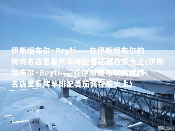 伊斯坦布尔·Beyti——在伊斯坦布尔的烤肉名店里看烤羊排配番茄酱在炭火上(伊斯坦布尔·Beyti——在伊斯坦布尔的烤肉名店里看烤羊排配番茄酱在炭火上)