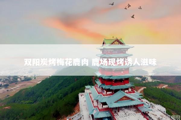 双阳炭烤梅花鹿肉 鹿场现烤诱人滋味