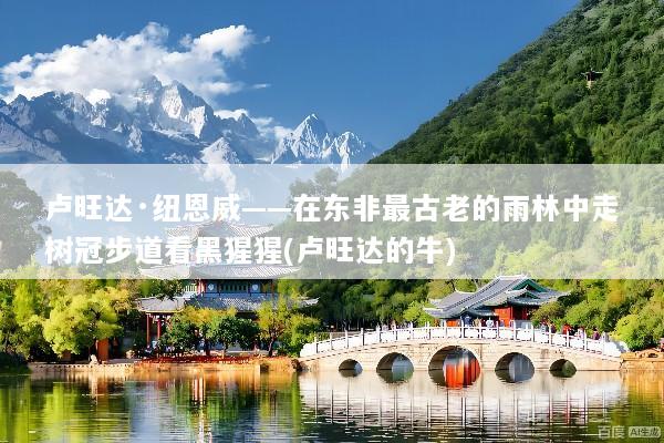 卢旺达·纽恩威——在东非最古老的雨林中走树冠步道看黑猩猩(卢旺达的牛)