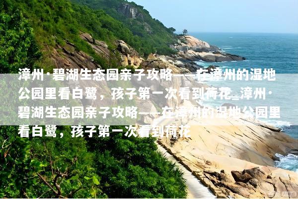 漳州·碧湖生态园亲子攻略——在漳州的湿地公园里看白鹭，孩子第一次看到荷花_漳州·碧湖生态园亲子攻略——在漳州的湿地公园里看白鹭，孩子第一次看到荷花