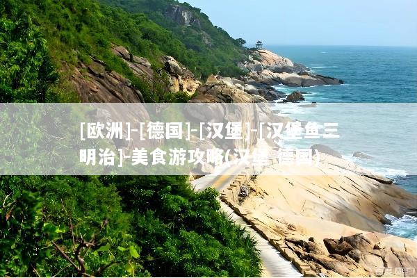 [欧洲]-[德国]-[汉堡]-[汉堡鱼三明治]-美食游攻略(汉堡 德国)