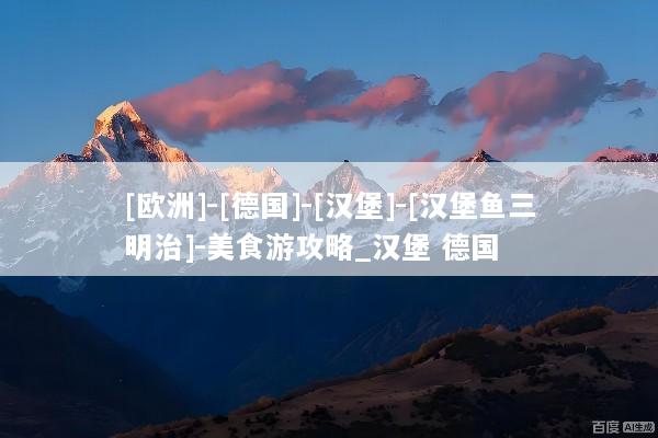 [欧洲]-[德国]-[汉堡]-[汉堡鱼三明治]-美食游攻略_汉堡 德国