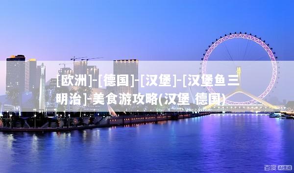 [欧洲]-[德国]-[汉堡]-[汉堡鱼三明治]-美食游攻略(汉堡 德国)