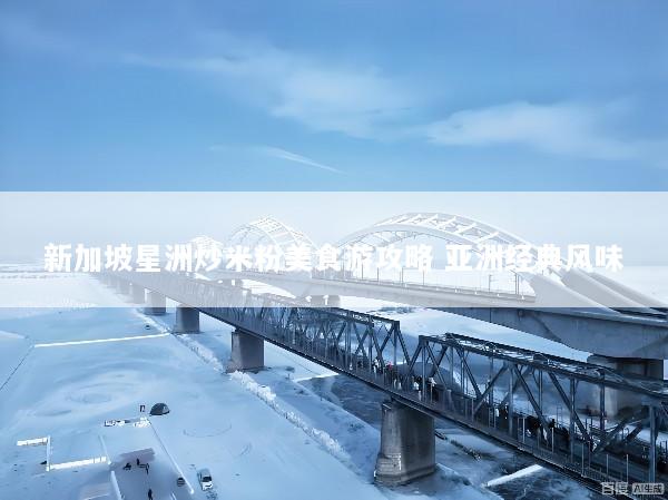 新加坡星洲炒米粉美食游攻略 亚洲经典风味