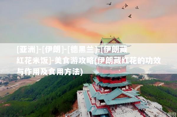 [亚洲]-[伊朗]-[德黑兰]-[伊朗藏红花米饭]-美食游攻略(伊朗藏红花的功效与作用及食用方法)