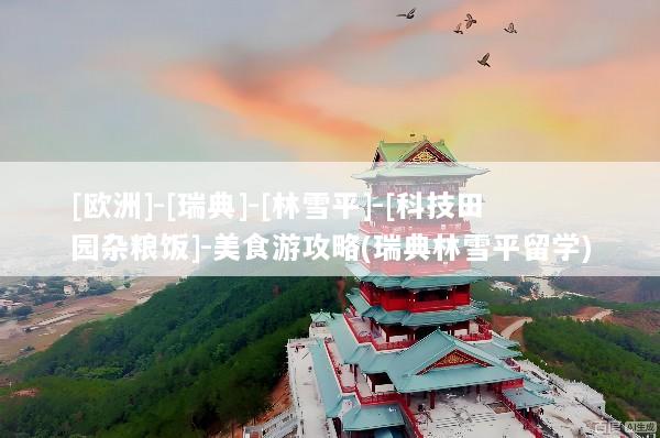[欧洲]-[瑞典]-[林雪平]-[科技田园杂粮饭]-美食游攻略(瑞典林雪平留学)
