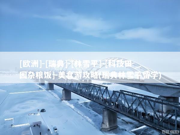 [欧洲]-[瑞典]-[林雪平]-[科技田园杂粮饭]-美食游攻略(瑞典林雪平留学)