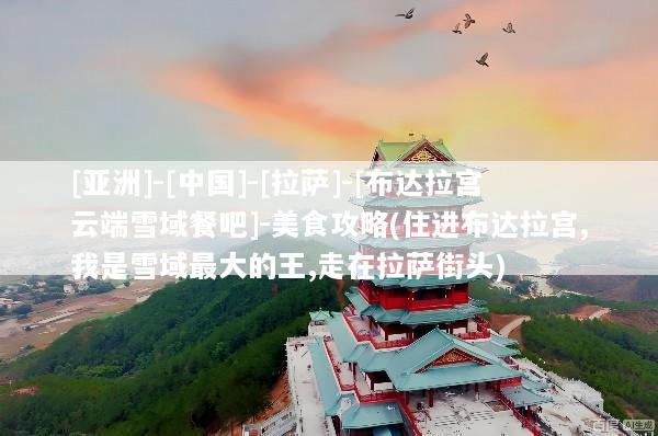 [亚洲]-[中国]-[拉萨]-[布达拉宫云端雪域餐吧]-美食攻略(住进布达拉宫,我是雪域最大的王,走在拉萨街头)