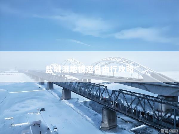 盐城湿地慢逛自由行攻略