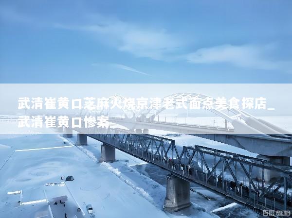 武清崔黄口芝麻火烧京津老式面点美食探店_武清崔黄口惨案