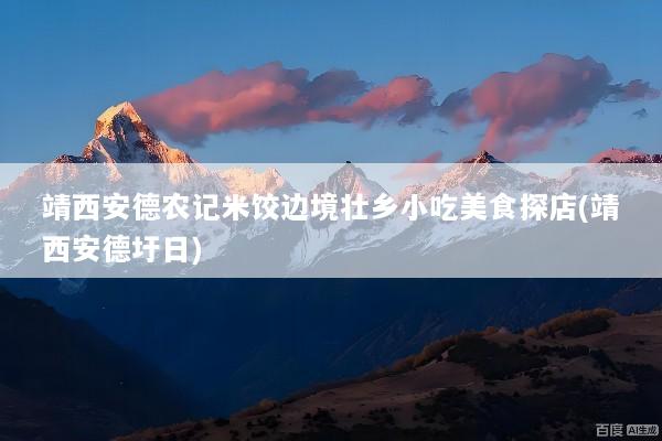 靖西安德农记米饺边境壮乡小吃美食探店(靖西安德圩日)