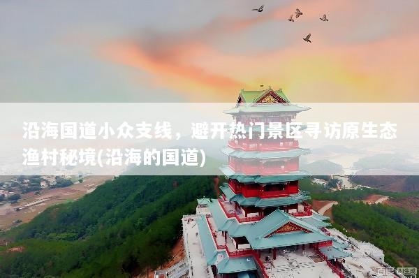 沿海国道小众支线，避开热门景区寻访原生态渔村秘境(沿海的国道)