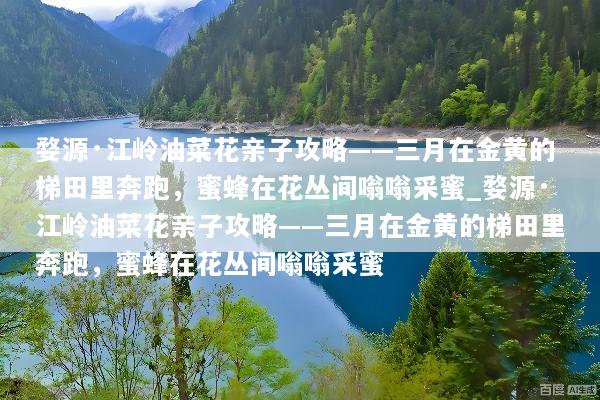 婺源·江岭油菜花亲子攻略——三月在金黄的梯田里奔跑，蜜蜂在花丛间嗡嗡采蜜_婺源·江岭油菜花亲子攻略——三月在金黄的梯田里奔跑，蜜蜂在花丛间嗡嗡采蜜