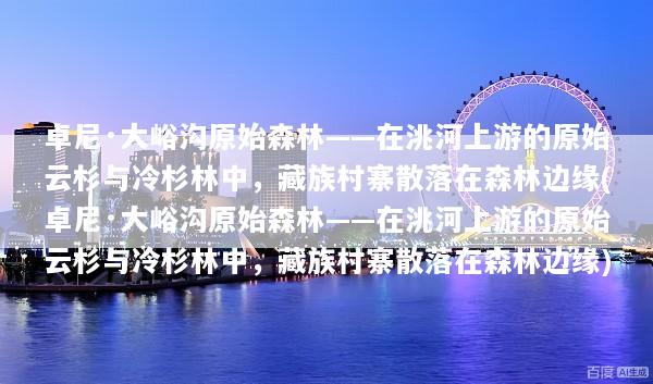 卓尼·大峪沟原始森林——在洮河上游的原始云杉与冷杉林中，藏族村寨散落在森林边缘(卓尼·大峪沟原始森林——在洮河上游的原始云杉与冷杉林中，藏族村寨散落在森林边缘)