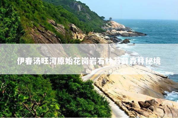 伊春汤旺河原始花岗岩石林苔藓森林秘境