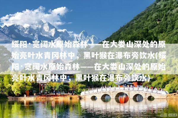 绥阳·宽阔水原始森林——在大娄山深处的原始亮叶水青冈林中，黑叶猴在瀑布旁饮水(绥阳·宽阔水原始森林——在大娄山深处的原始亮叶水青冈林中，黑叶猴在瀑布旁饮水)