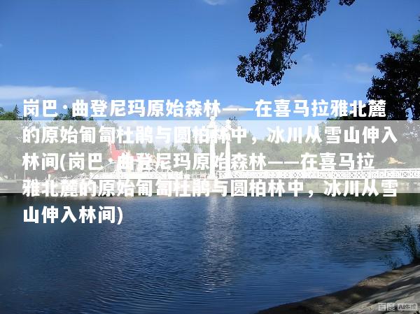 岗巴·曲登尼玛原始森林——在喜马拉雅北麓的原始匍匐杜鹃与圆柏林中，冰川从雪山伸入林间(岗巴·曲登尼玛原始森林——在喜马拉雅北麓的原始匍匐杜鹃与圆柏林中，冰川从雪山伸入林间)